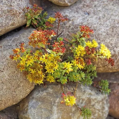 Lotsenstieg 2 Kajuete 03 Apartment Karlshagen