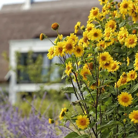 Apartment Lotsenstieg 2 Kajuete 03