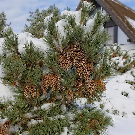 Lotsenstieg 2 Kajuete 03 * Karlshagen