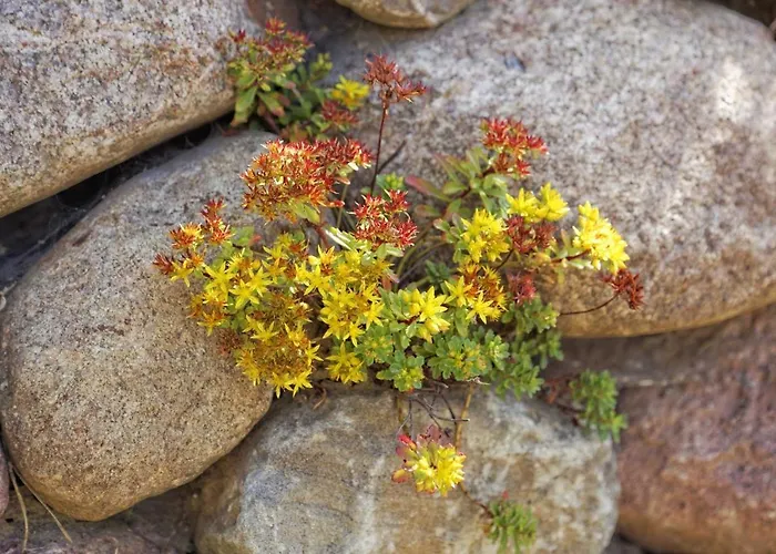 Lotsenstieg 2 Kajuete 03 Apartment Karlshagen