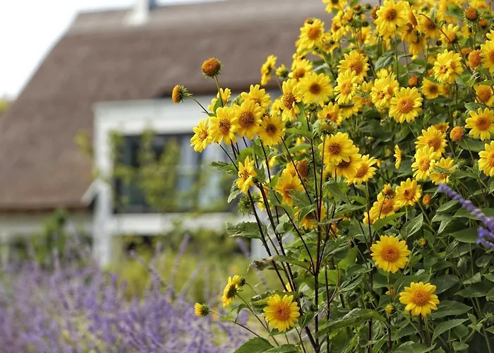 Apartment Lotsenstieg 2 Kajuete 03