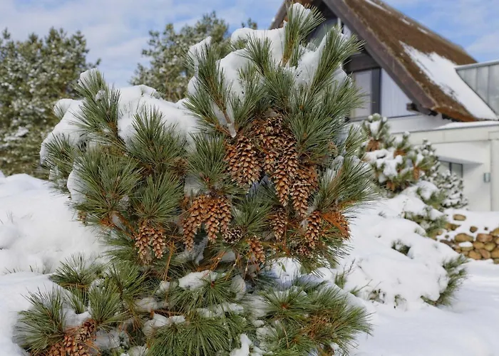 Lotsenstieg 2 Kajuete 03 * Karlshagen
