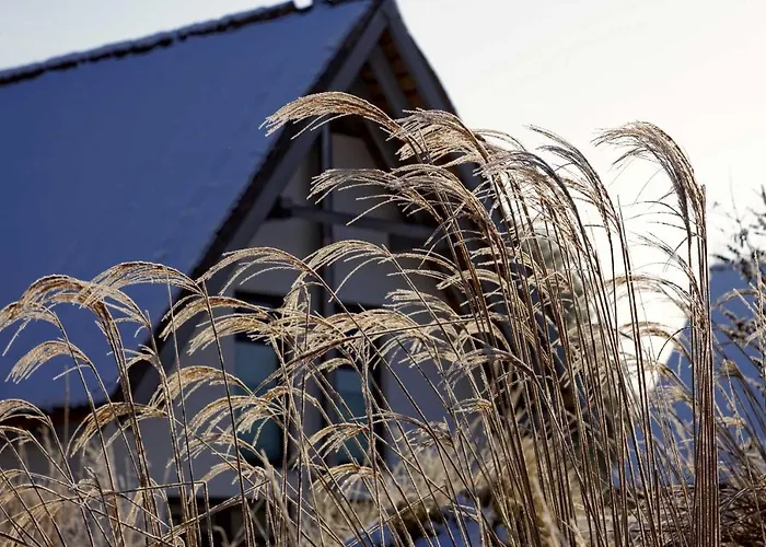 Lotsenstieg 2 Kajuete 03 *